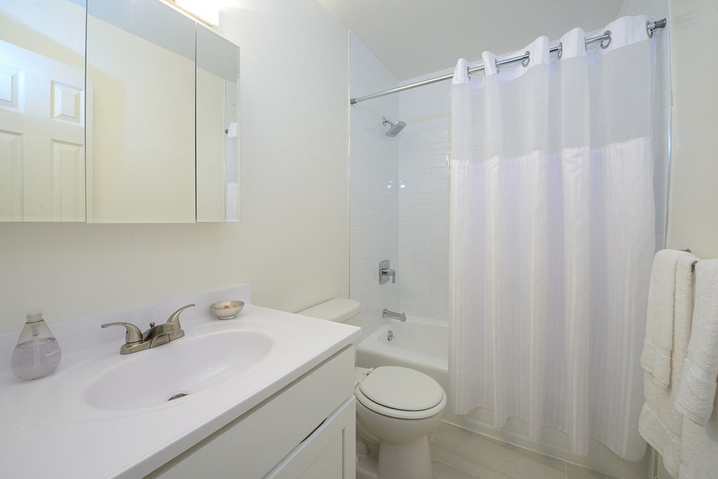 a bathroom with a sink and a shower and a toilet