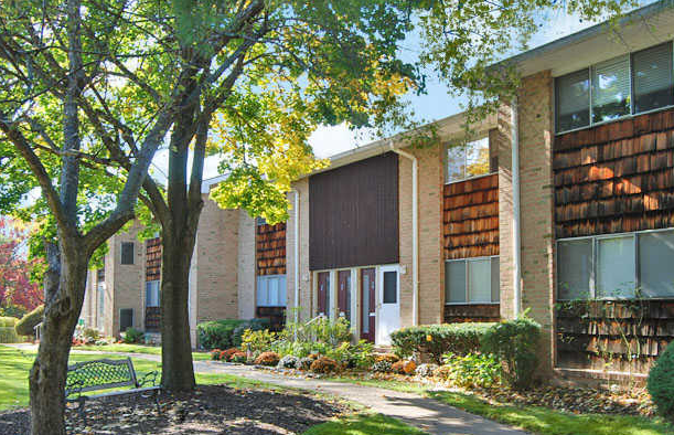 a tree in front of an apartment building