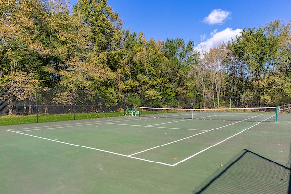 a tennis court with trees in the background