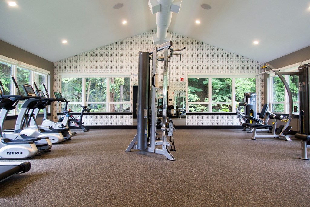 the gym has plenty of exercise equipment and large windows
