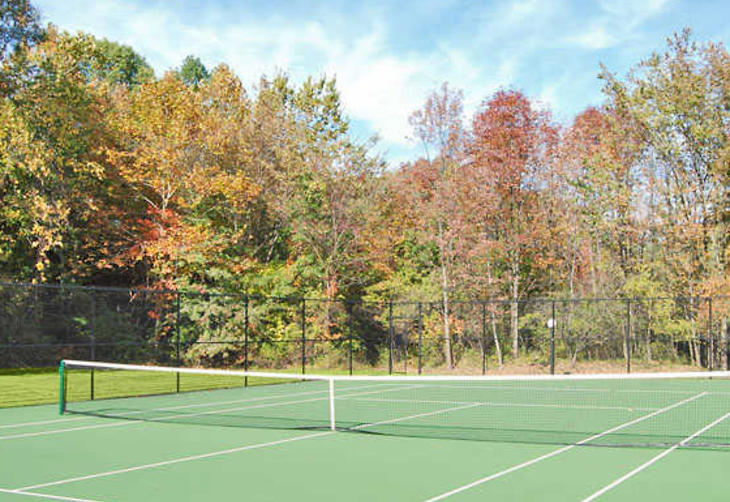 a tennis court with trees in the background