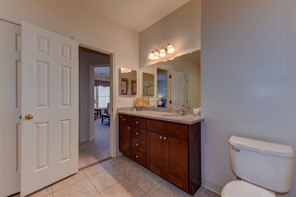 a bathroom with a toilet and a sink and a mirror