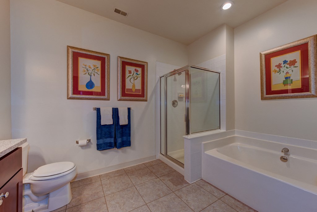 a bathroom with a toilet and a shower and a sink