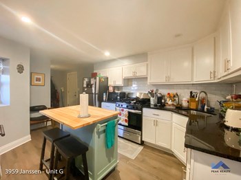 3945-59 N. Janssen Ave. Studio-3 Beds Apartment for Rent - Photo Gallery 2