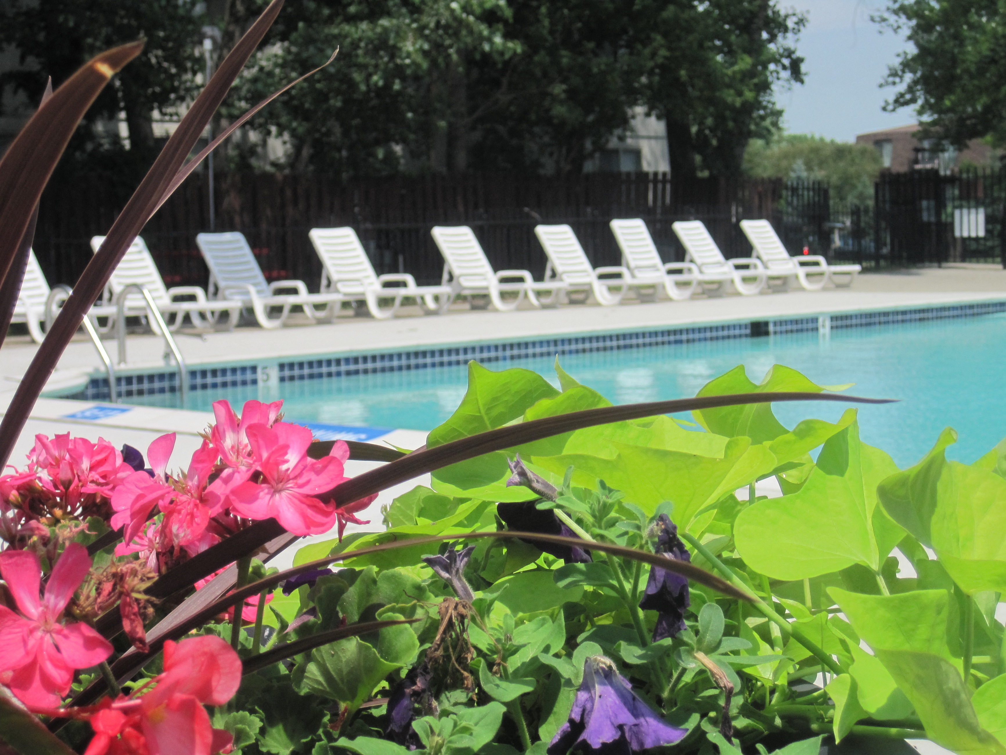 Apartments in Clinton Township, MI Knottingham Apartments