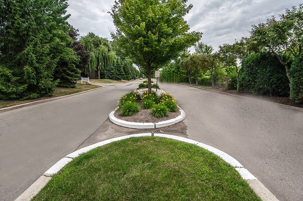 a tree in the middle of a roundabout on a street