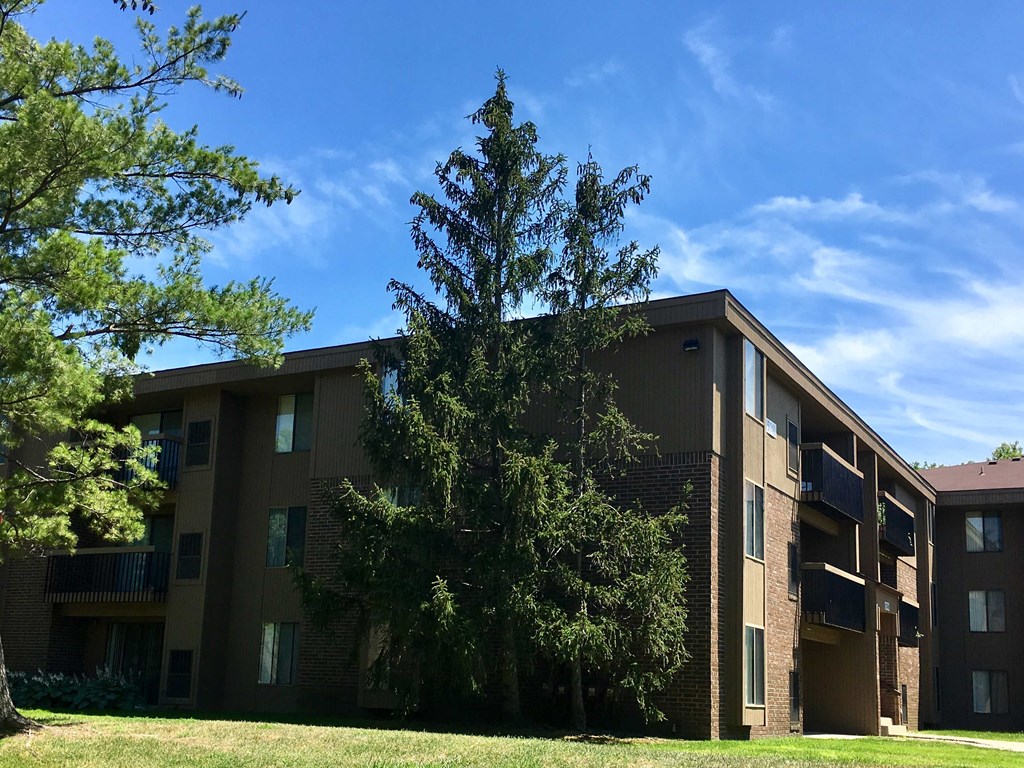 an apartment building with a large tree in front of it