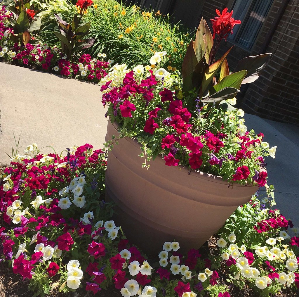 a large flower pot filled with flowers on a sidewalk
