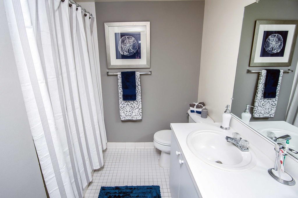 a bathroom with a white sink and a shower and a toilet
