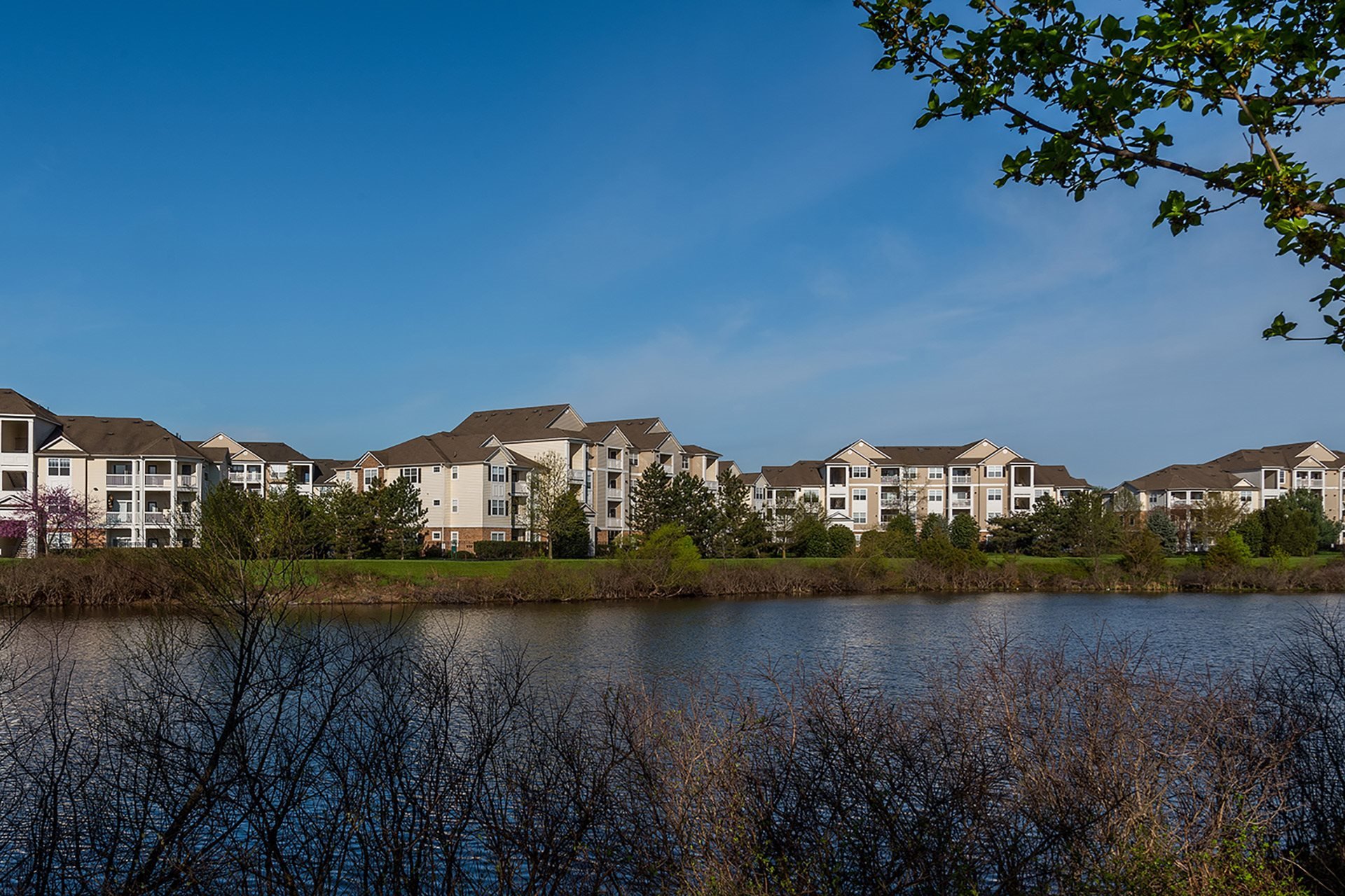 Apartments in Ashburn, Virginia 20147 | The Ashborough