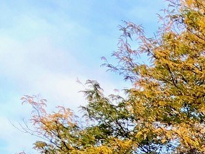 outdoor landscaping - Photo Gallery 3