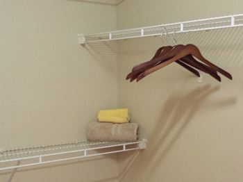 Walk In Closets With Built In Shelves