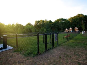 Dog Park/Play Area