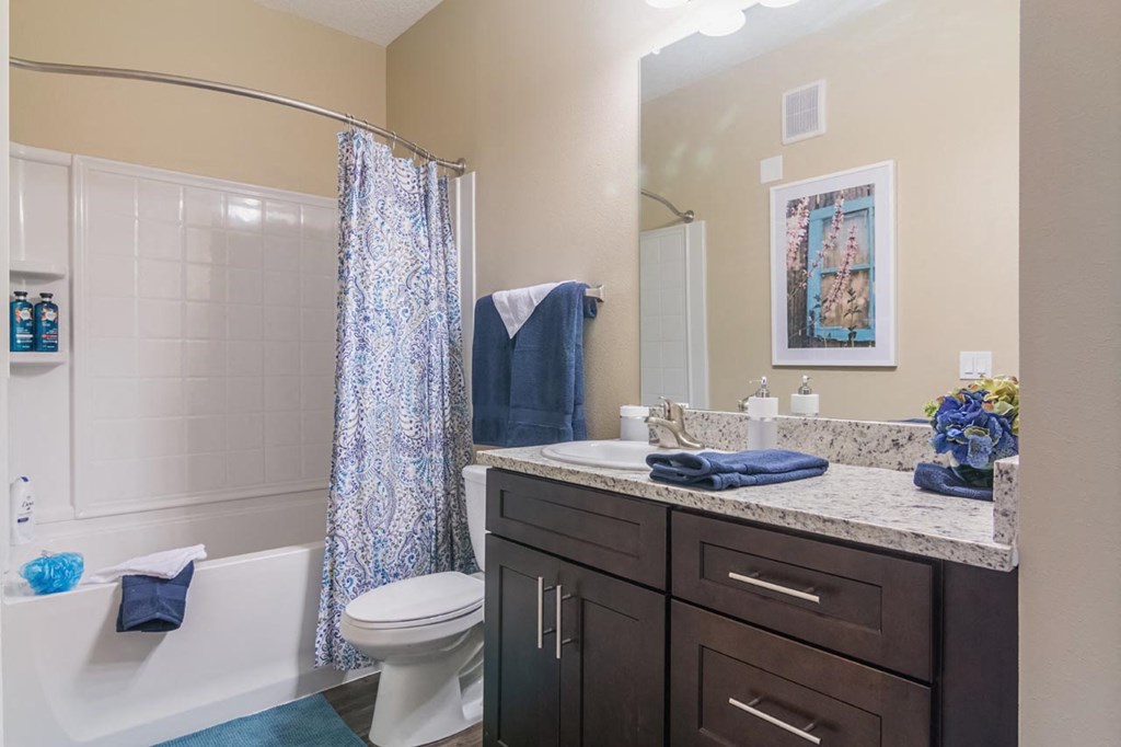 Model Bathroom at The Oasis at Lake Bennet, Ocoee, Florida