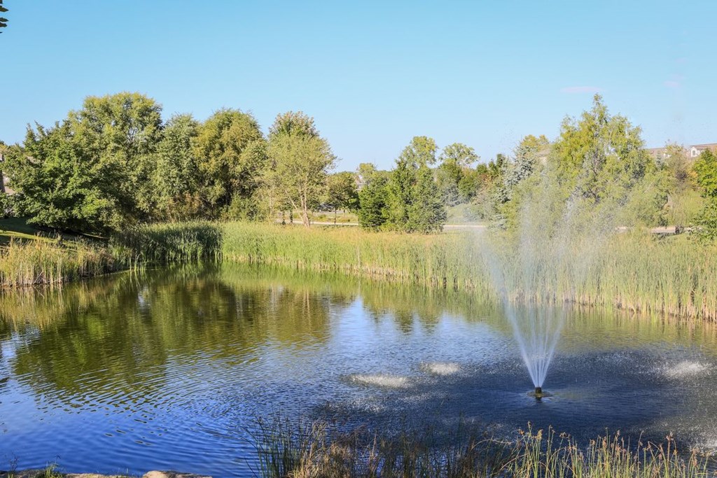 a fountain in the middle of a pond