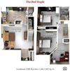 The Red Maple