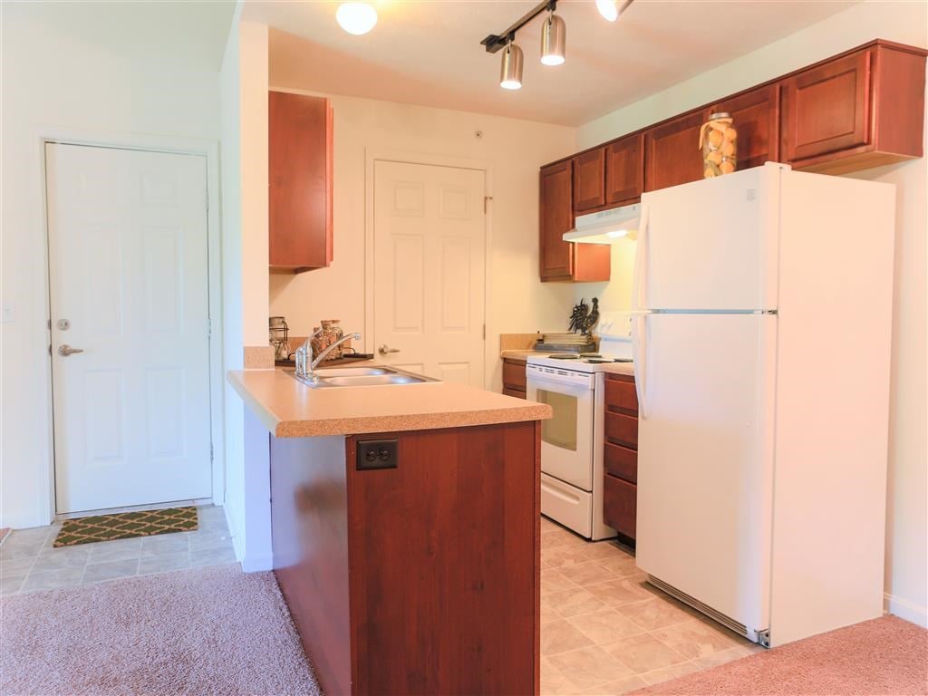 a kitchen with a white refrigerator and a sink
