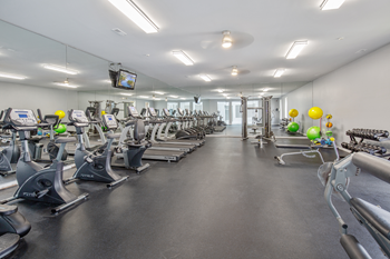 Cardio and Weights Fitness Center at Lakeside Village Apartments, Clinton Township 48038