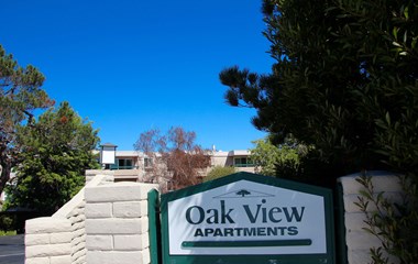 3135 Campus Drive Studio-2 Beds Apartment for Rent - Photo Gallery 1