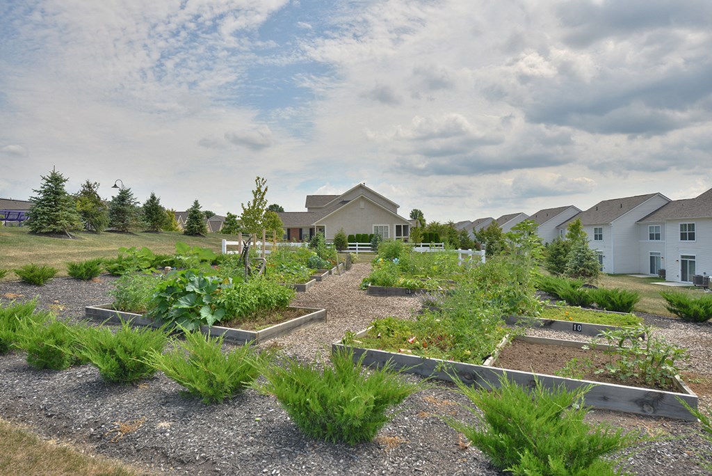 Community Garden
