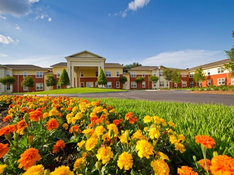 A field of orange flowers in front of apartment buildings.