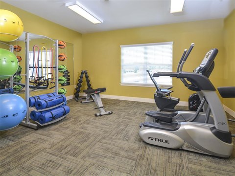 Modern fitness center featuring cardio and strength-training equipment in a bright, well-equipped workout environment.