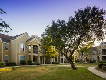 2819 S WW White Rd 1-3 Beds Apartment, Affordable for Rent - Photo Gallery 6
