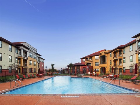 Resort-style swimming pool with expansive sun deck seating, beautifully maintained landscaping, and modern apartment homes surrounding the courtyard.