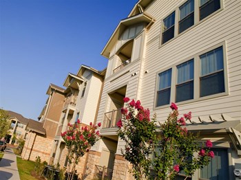 1021 Oak Grove Rd 1-4 Beds Apartment, Affordable for Rent - Photo Gallery 2