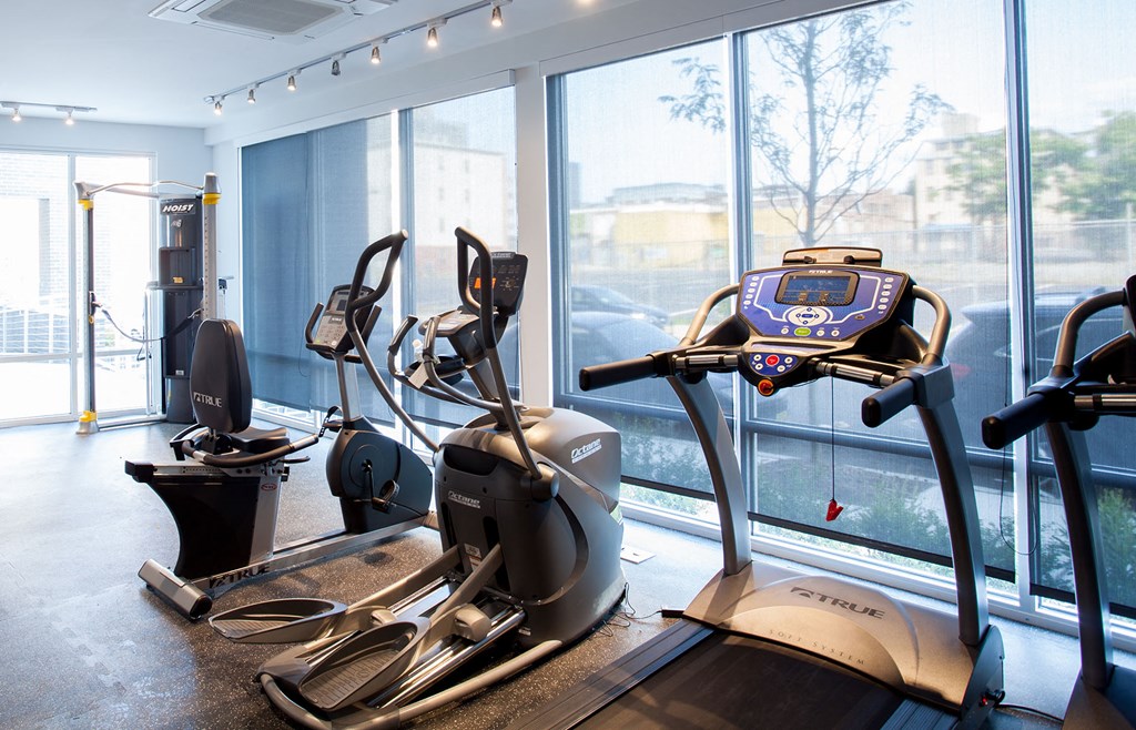 a gym with cardio machines and large windows
