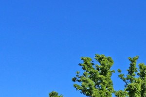 100 Best Apartments In North Highlands Ca With Reviews Rentcafe