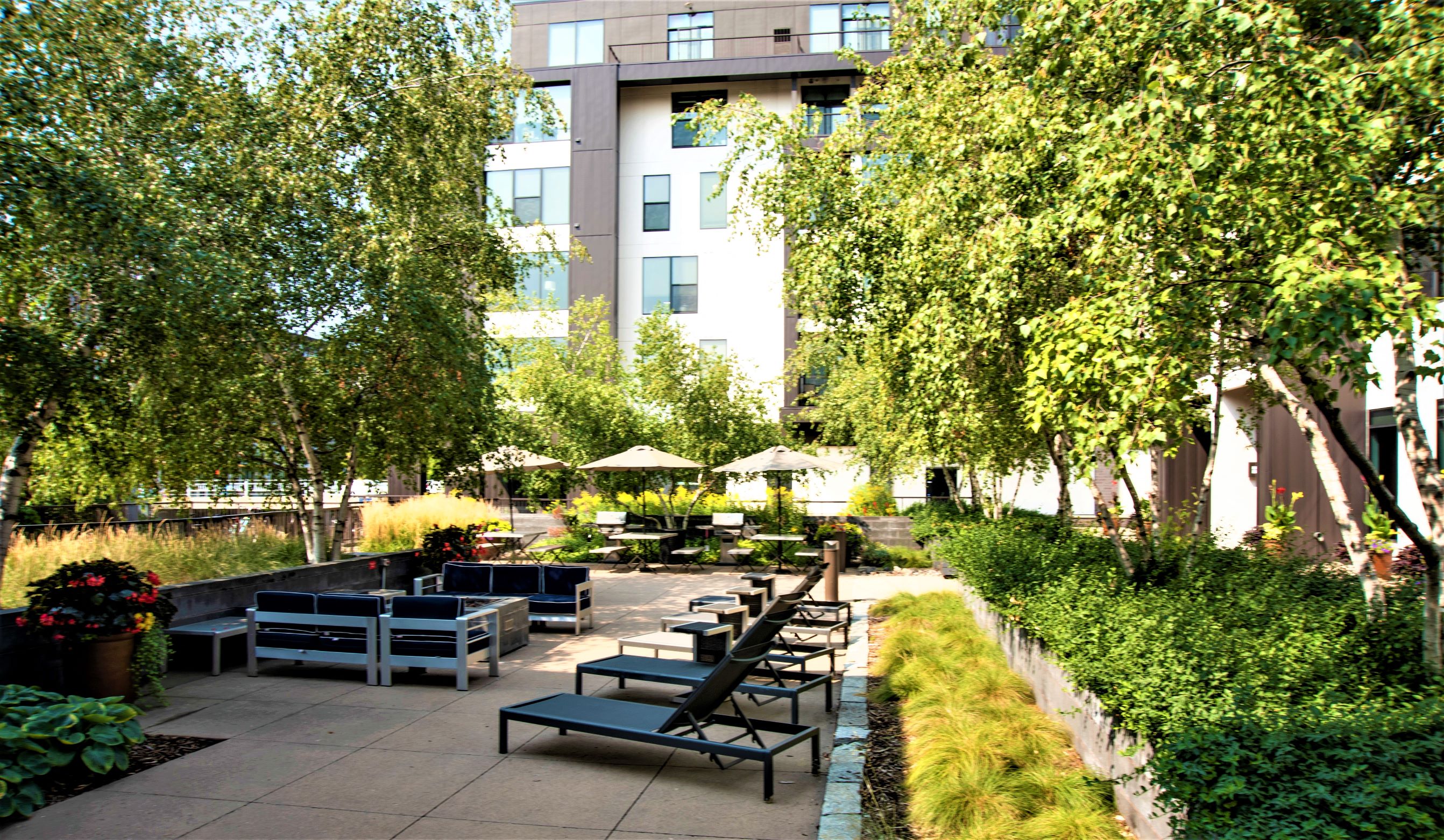 a courtyard with benches and trees and a building in the background