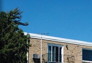 469 Pascal St. 2-3 Beds Johnson Realty for Rent