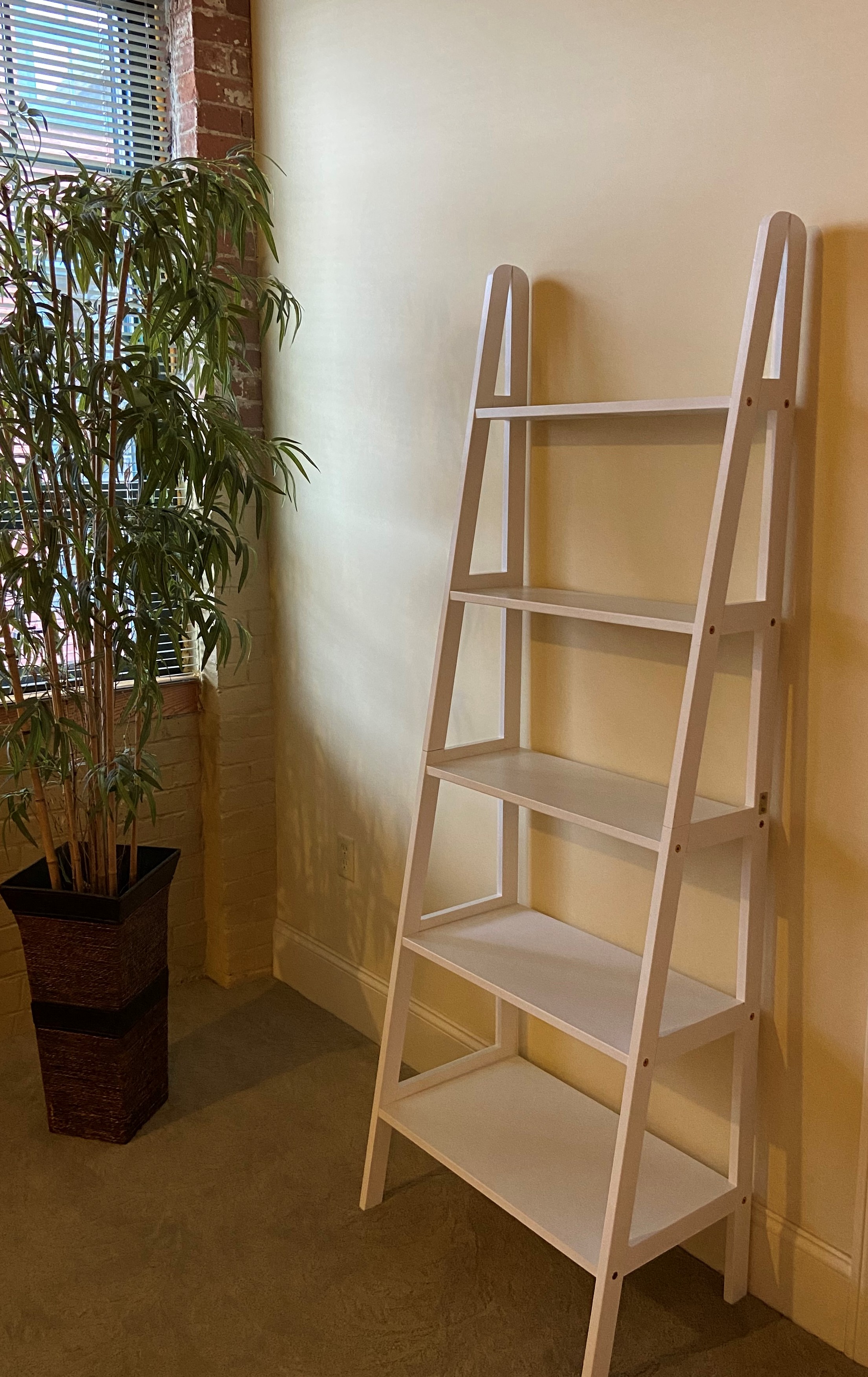 a ladder in a corner next to a potted plant