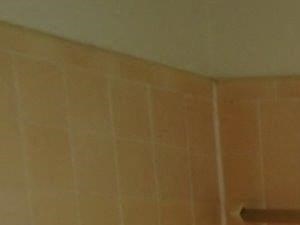 a bathroom with a toilet and a tub and a window