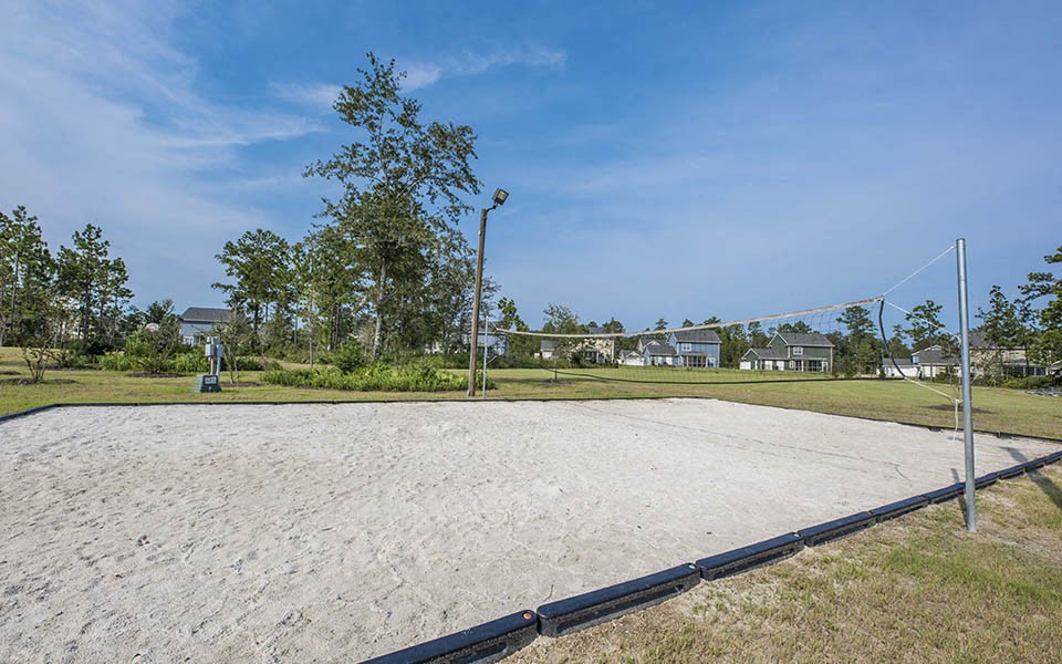 a volleyball court in a park with houses in the background