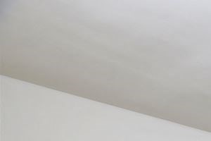 805 S Florida St 1-3 Beds Apartment for Rent - Photo Gallery 3