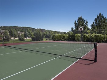 2071 Citrine Link 1-2 Beds Apartment for Rent - Photo Gallery 4
