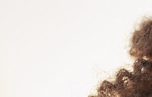 Octave Apartments In Davis Ca