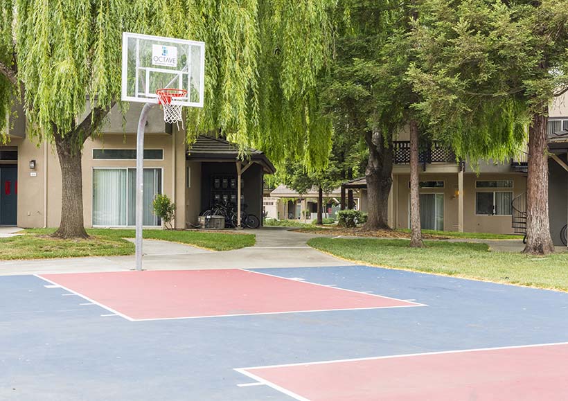 Apartments In Davis For Rent - Octave Apartments -Outdoor Basketball Court That Is Surrounded By Trees and Apartment Buildings.