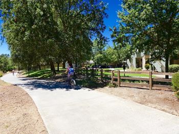 Bike Trails