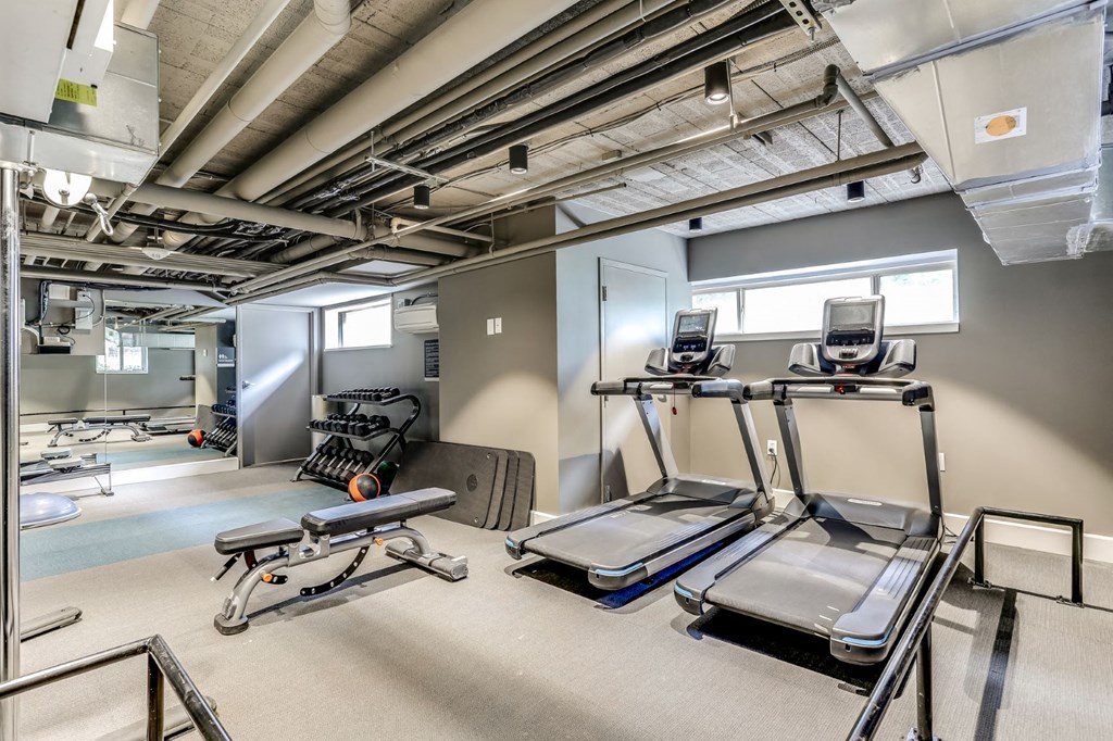 a gym with weights and cardio equipment in a building