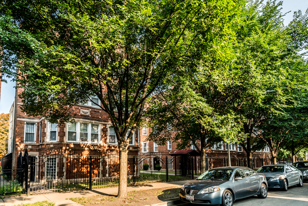Auburn Gresham Apartments for rent in Chicago | 8000 S Paulina
