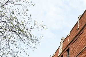 Apartments For Rent In Chatham Chicago Il Apartments For Rent In Chatham Chicago Il