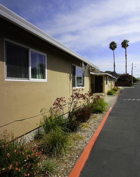 Driveway View