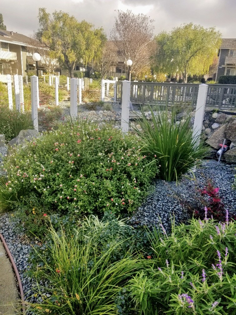 Landscaping around ponds