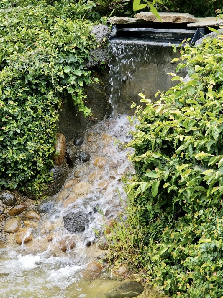 Waterfall flowing into pond