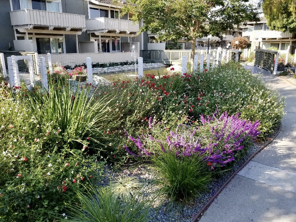 Landscaping near walkway