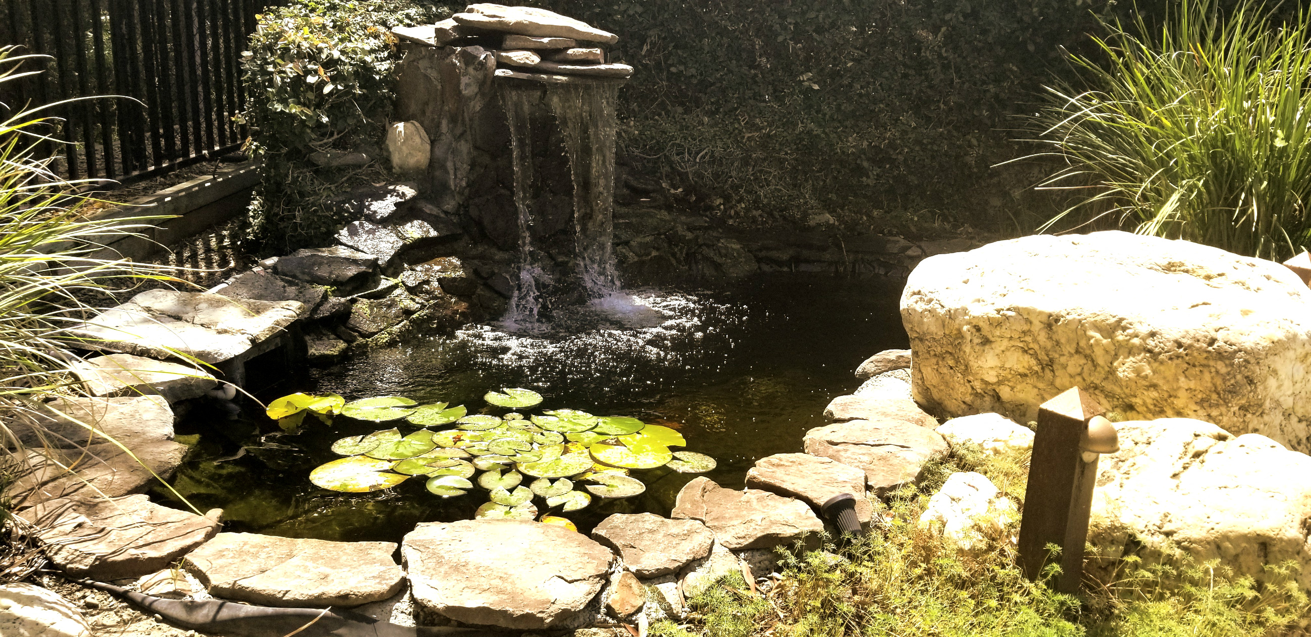 a small pond with a waterfall in a garden