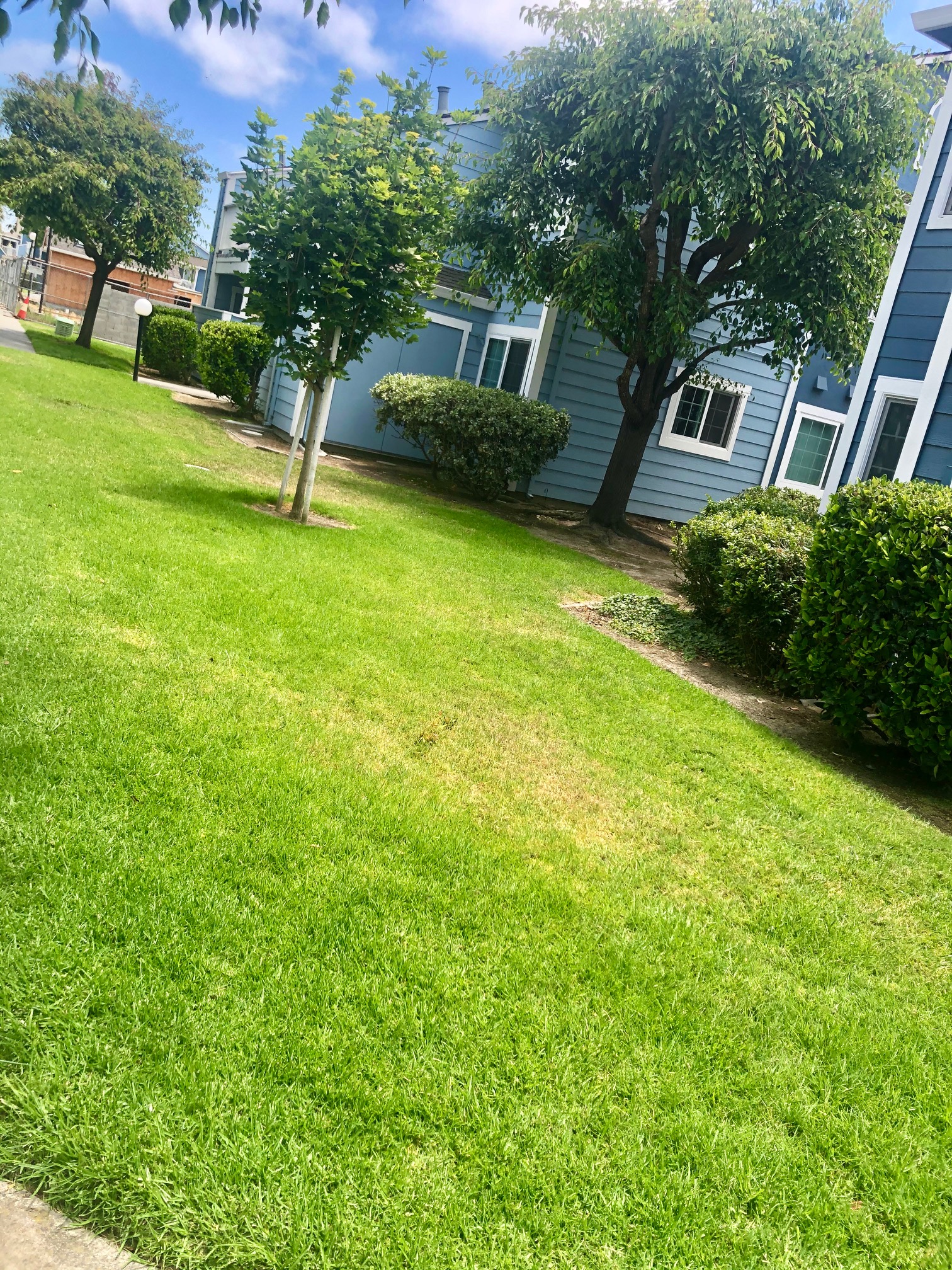 Property Center View